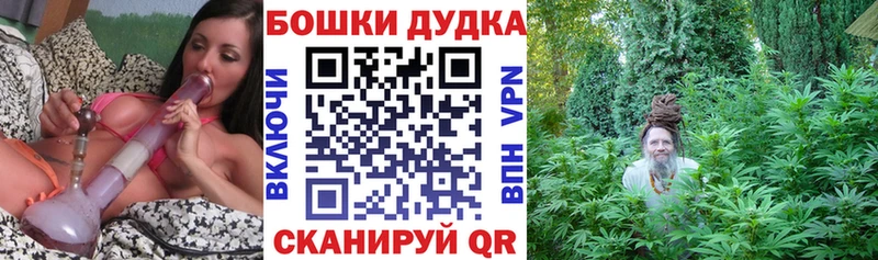 Купить где  Фёдоровский  Каннабис индика 